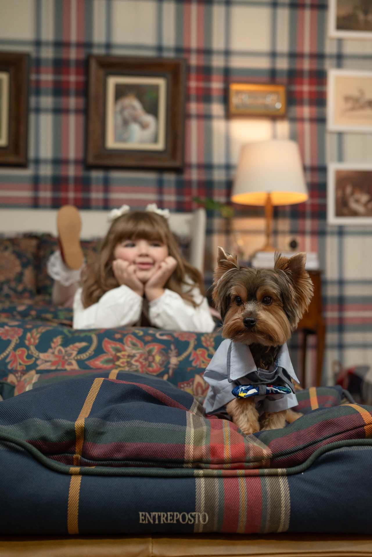 Cena editorial com menina e cachorro Yorkshire sobre cama pet xadrez Entreposto em ambiente tartan